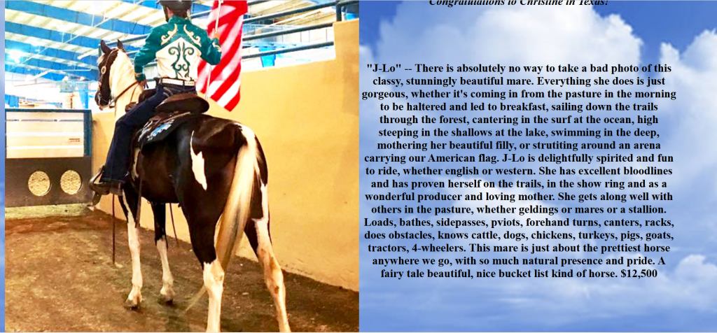 анализ юзабилити сайта